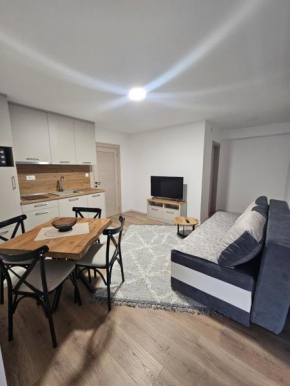 Apartment Anita Cetinje